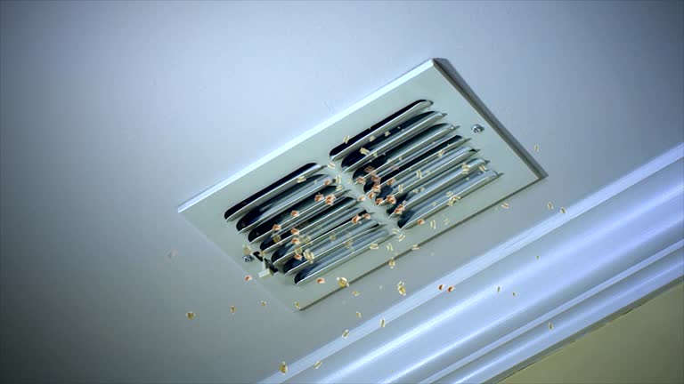 Air Duct Mold Removal in MN