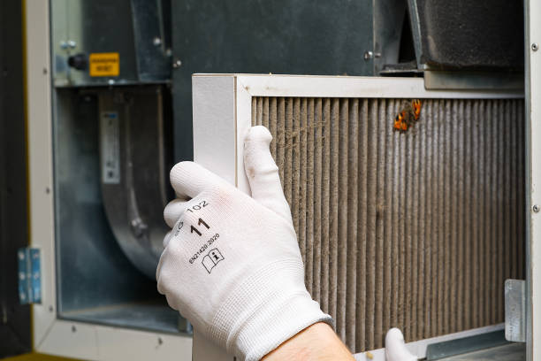 Best Duct Cleaning Specialists  in Willmar, MN