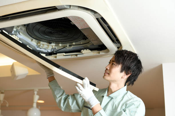 Best Ductwork Cleaning Services  in Willmar, MN