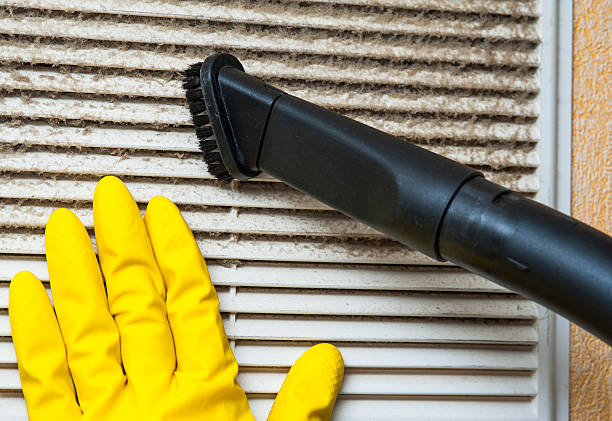 Best Affordable HVAC Duct Cleaning  in Willmar, MN