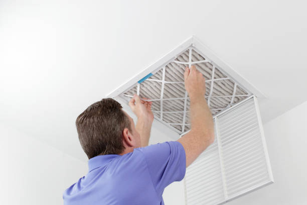 Best Air Duct Cleaning Company Near Me  in Willmar, MN